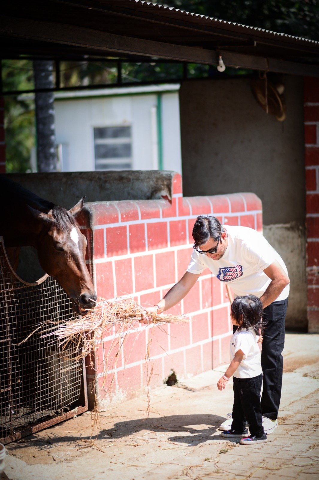 Royal Horse Experience